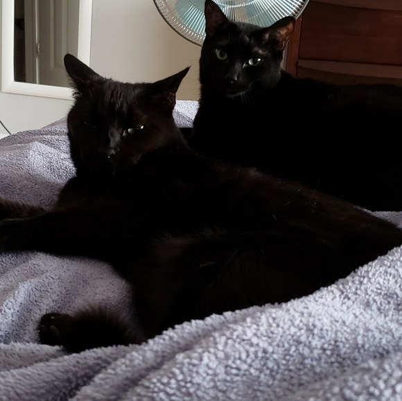 Meet your Posher, Randi - Picture 5 of 5